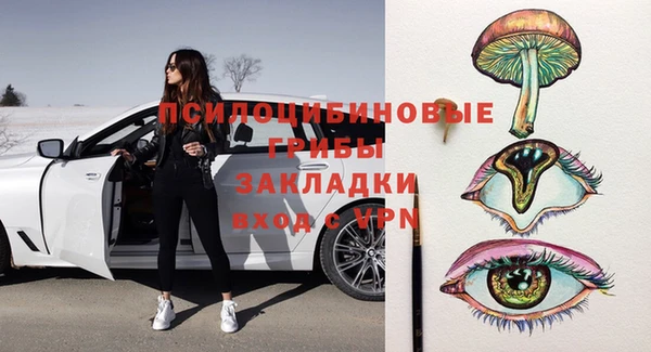 тгк Арсеньев