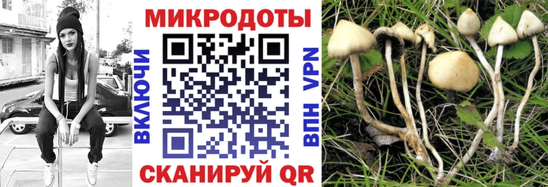 Галлюциногенные грибы GOLDEN TEACHER Камень-на-Оби